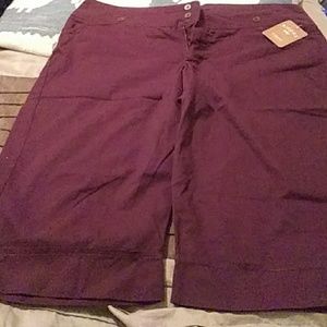 Riders by Lee copper collection capris